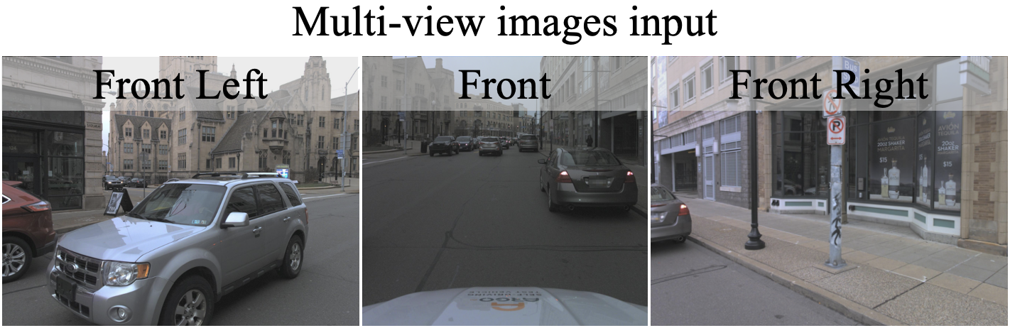 Surround-view visual input for lane topology reasoning
